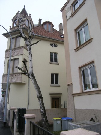 medium_p1120140.3.jpg