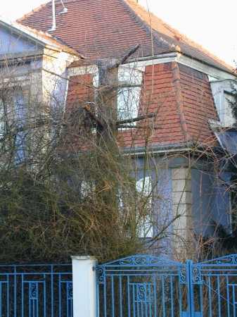 medium_p2150028.jpg